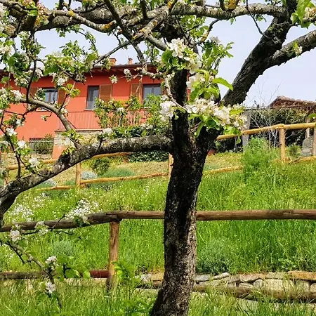 La Maison Rouge Bed & Breakfast *